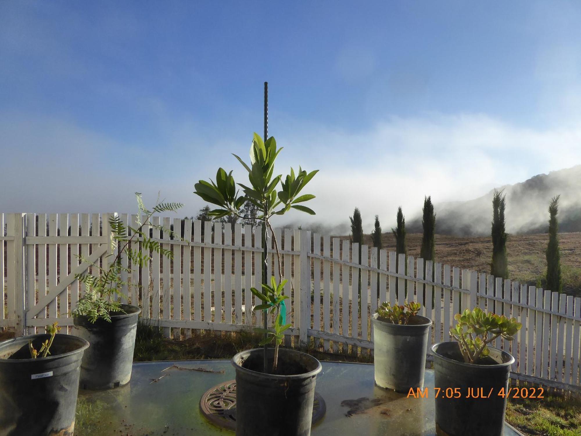 Mansion On The Hill Let 4 Rooms, 5Th Cost Extra Sage Экстерьер фото